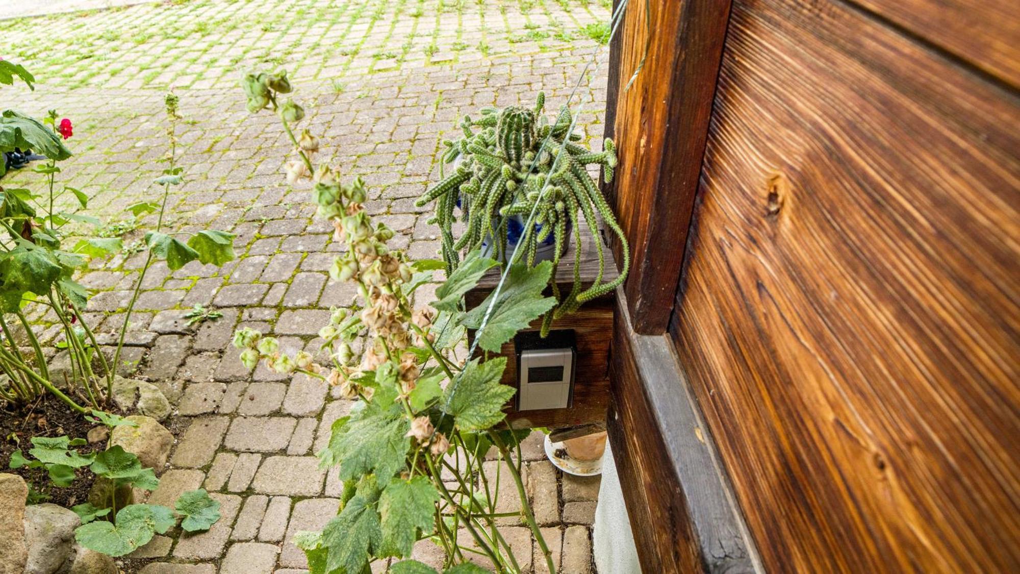 Haus Miriam Apartment Muenstertal Bagian luar foto